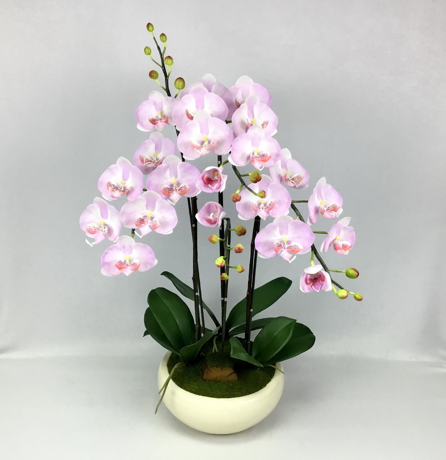 Artificial Phalaenopsis in pot